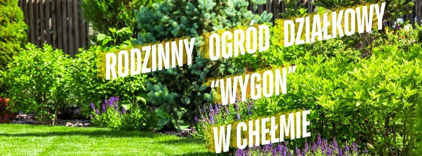 Wygon
